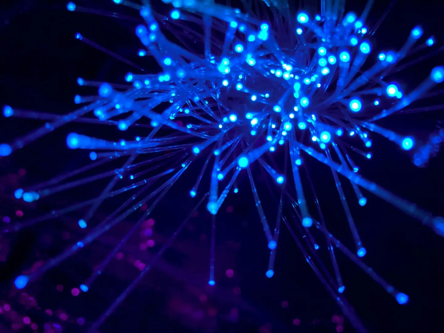 Bundle of fiber optic strands glowing blue against a dark background