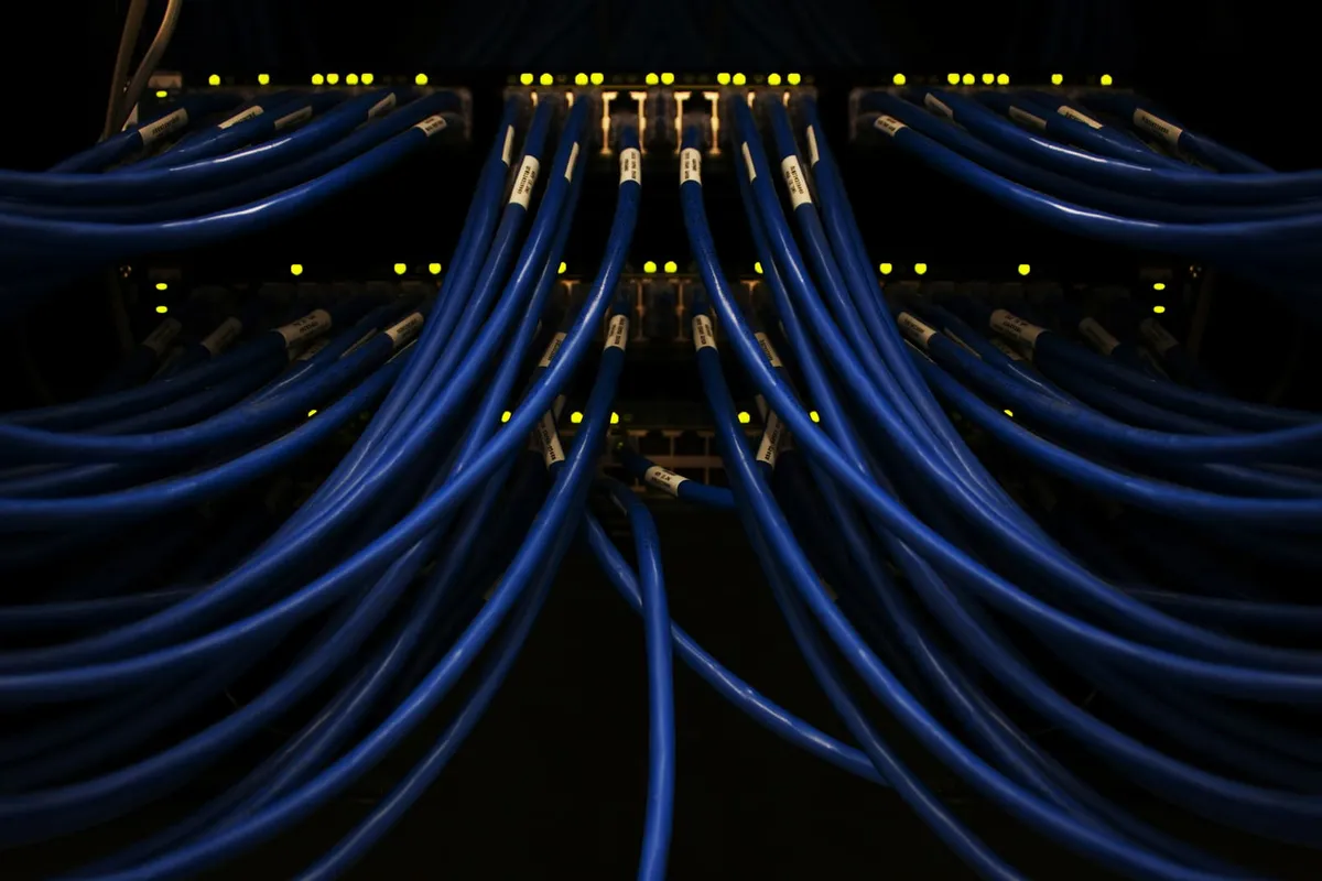 Rows of blue ethernet cables plugged into network switches with glowing status lights